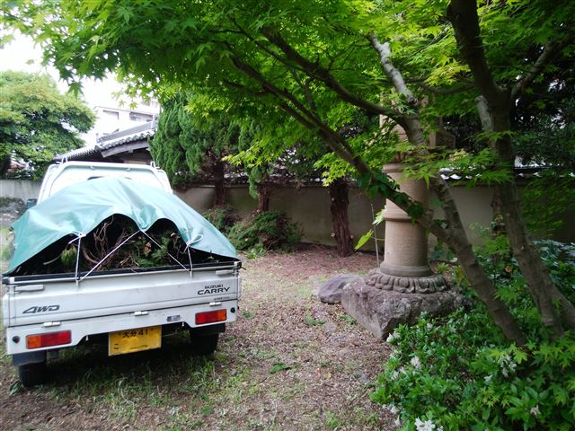 画像の説明