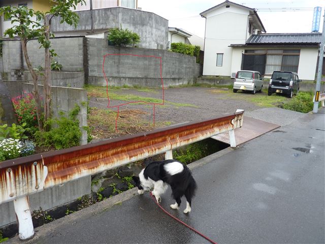 画像の説明