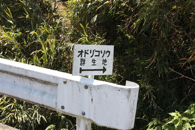 画像の説明