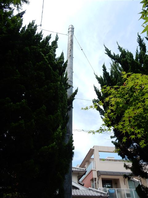 画像の説明