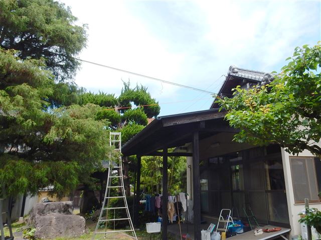 画像の説明