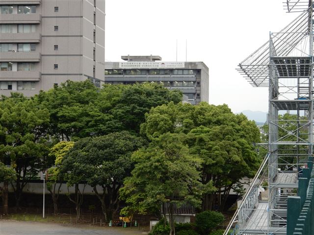 画像の説明