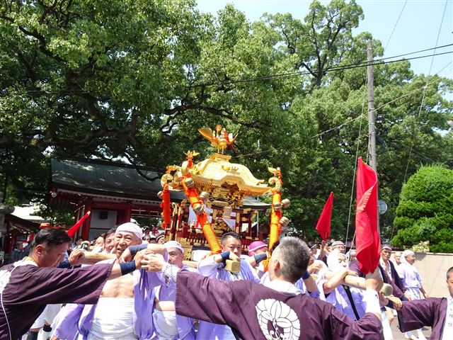 画像の説明 画像の説明