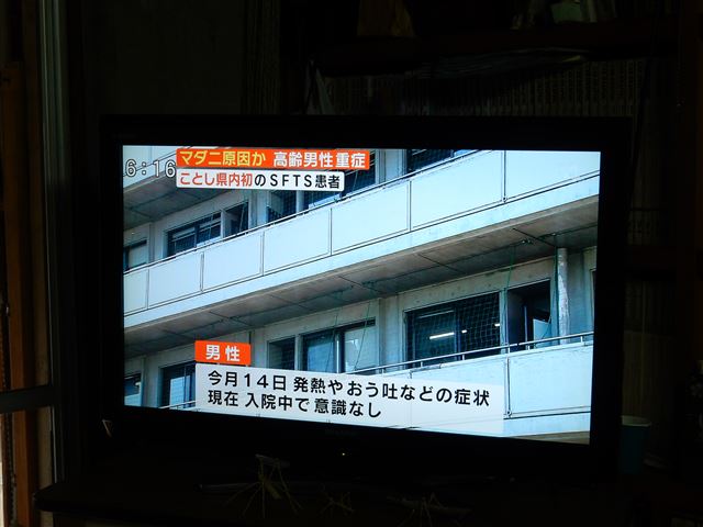 画像の説明