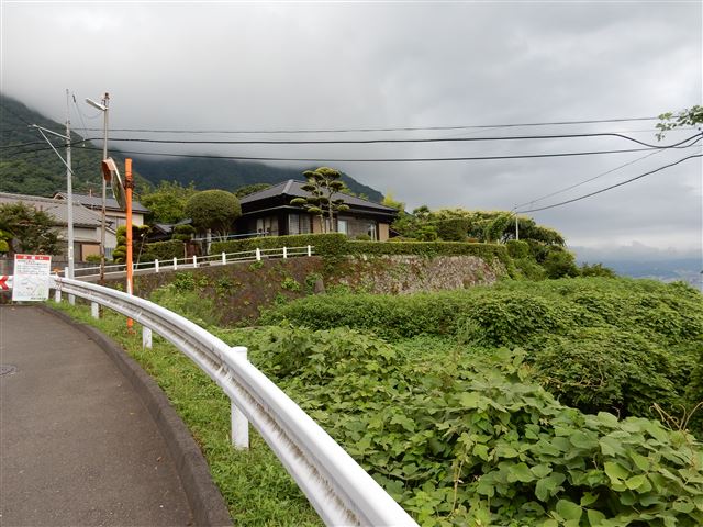 画像の説明
