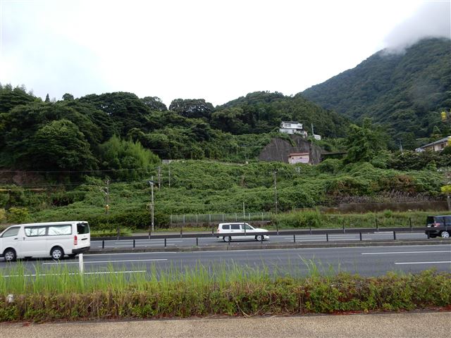 画像の説明