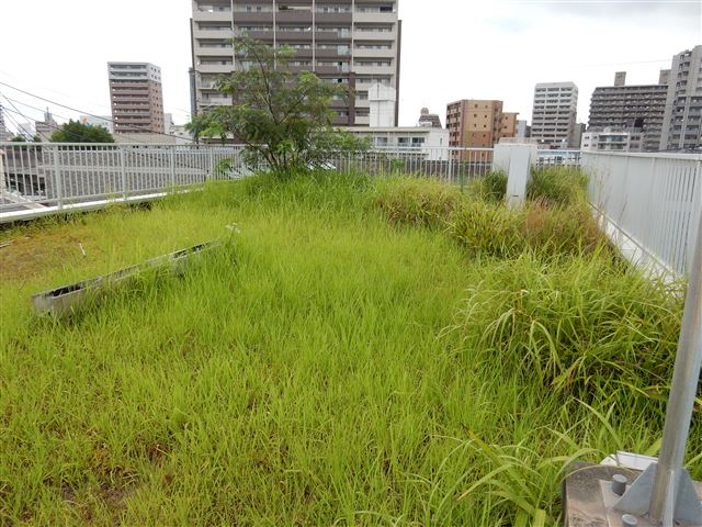 画像の説明 画像の説明