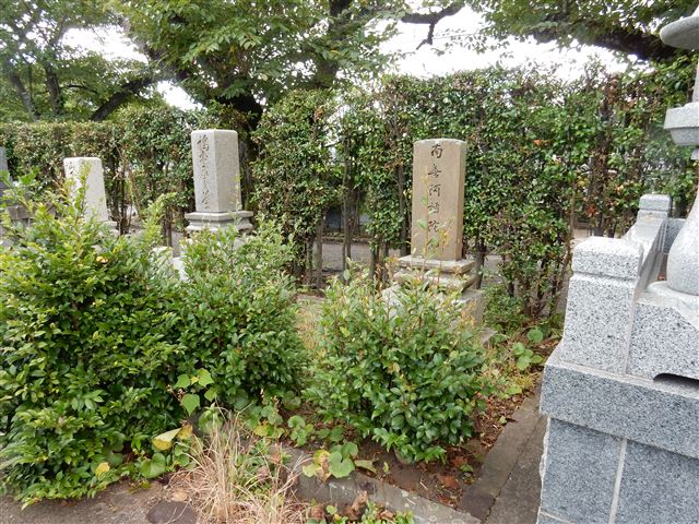画像の説明