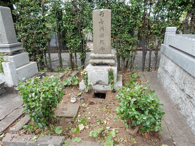 画像の説明