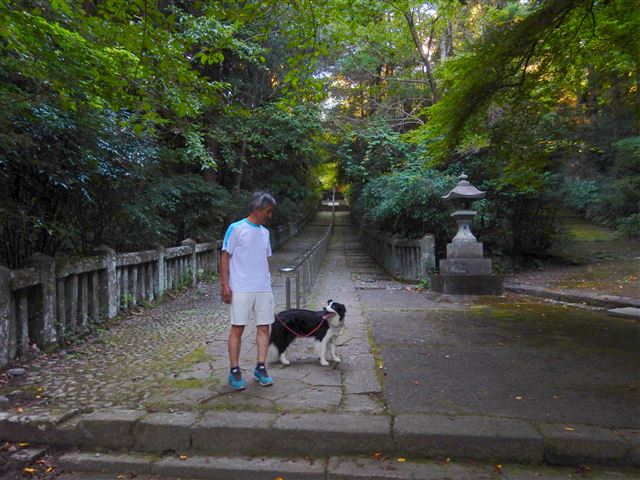 画像の説明