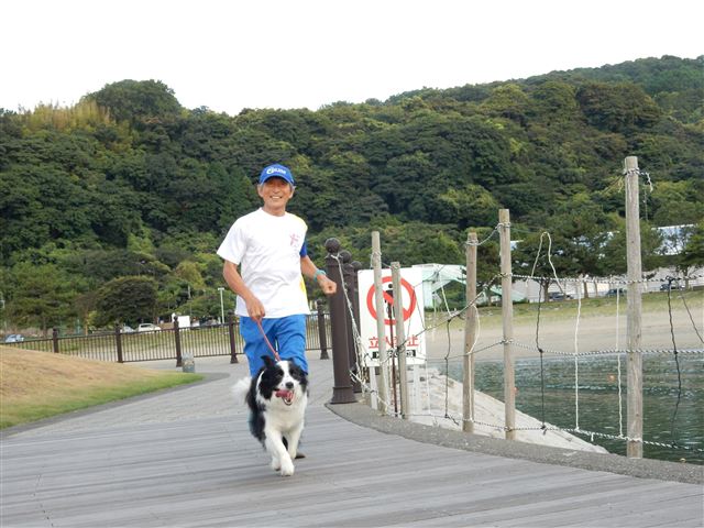画像の説明