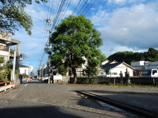 画像の説明