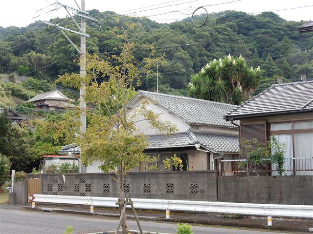 画像の説明