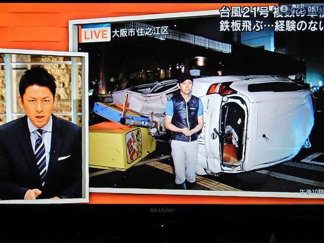 画像の説明 画像の説明