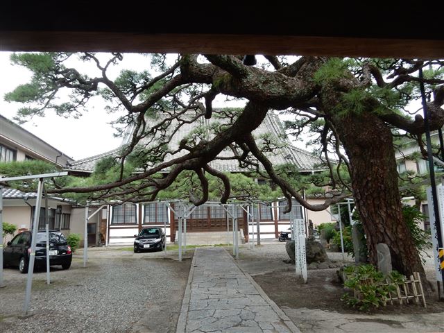 画像の説明