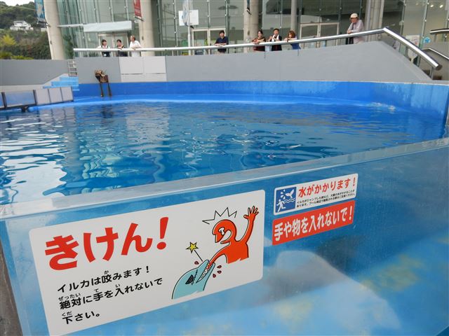 画像の説明