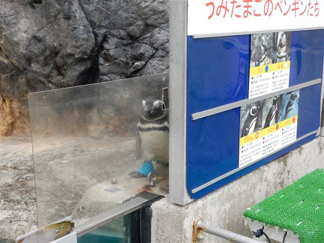 画像の説明