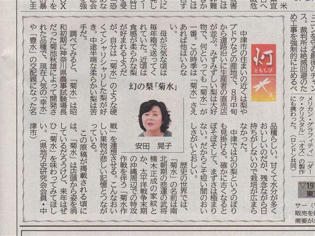 画像の説明