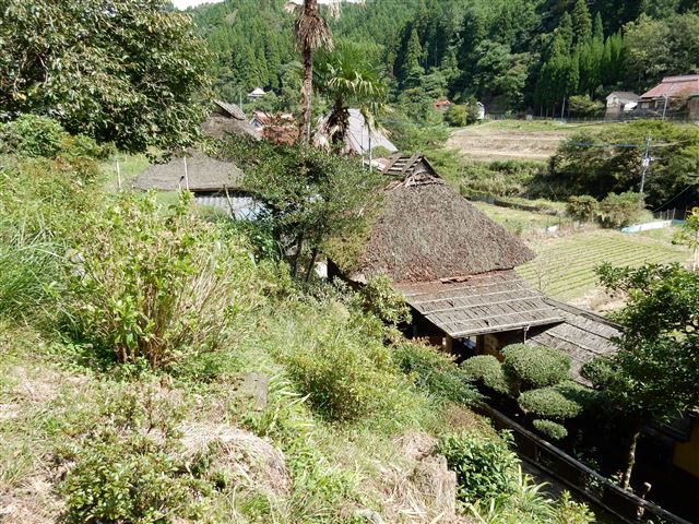 画像の説明