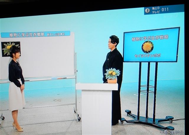 画像の説明