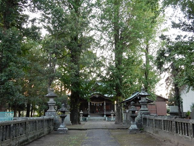 画像の説明