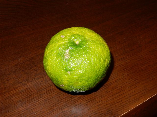 画像の説明