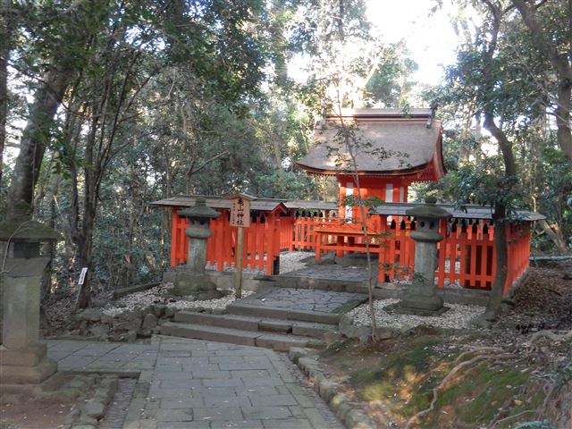 画像の説明