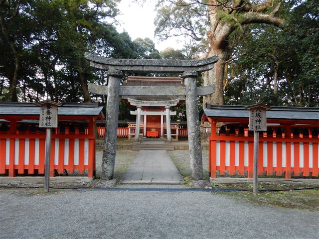 画像の説明