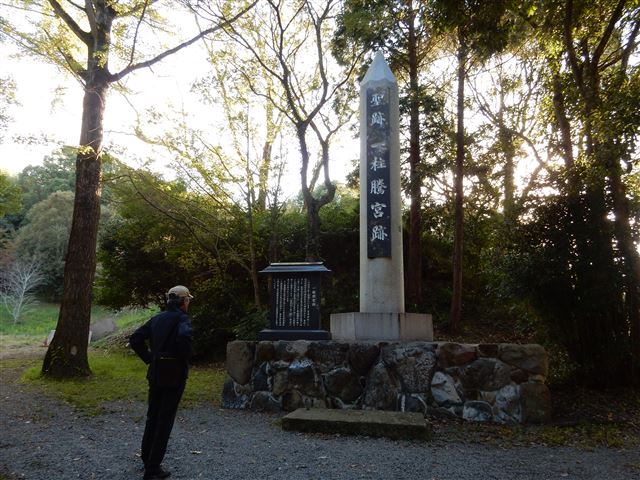 画像の説明