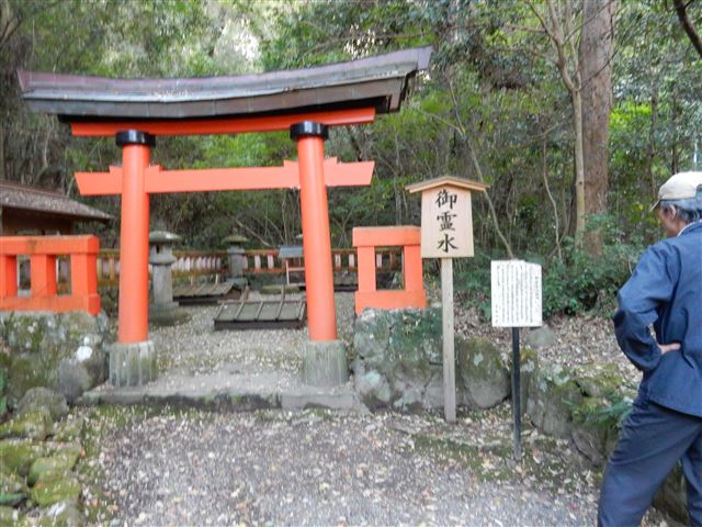 画像の説明