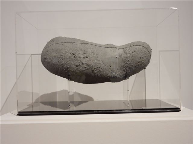 画像の説明