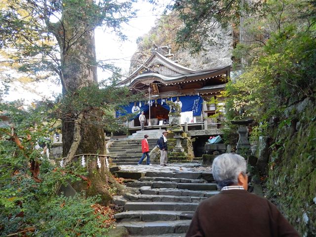 画像の説明