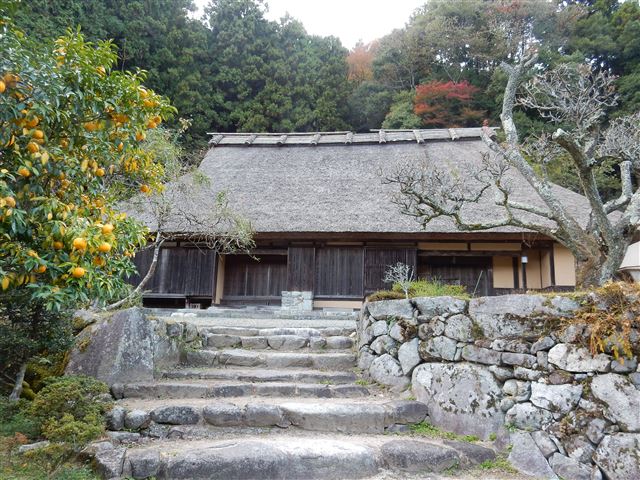 画像の説明