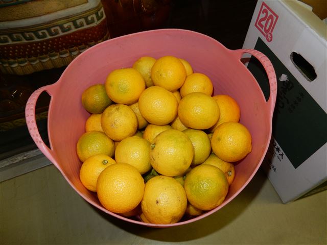 画像の説明