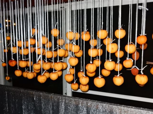画像の説明