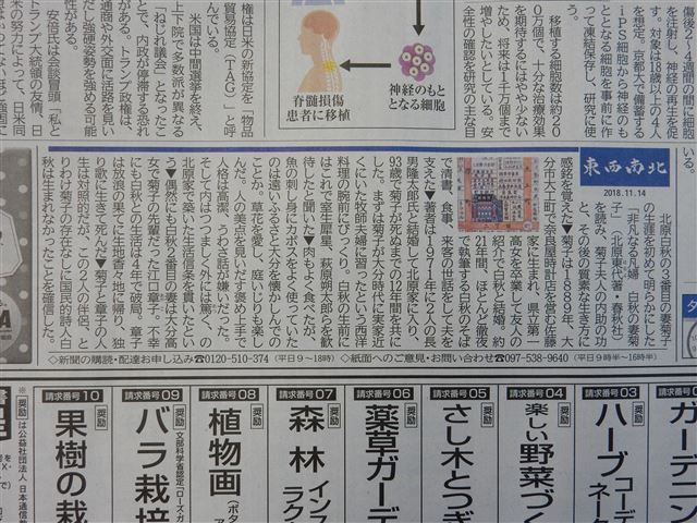 画像の説明