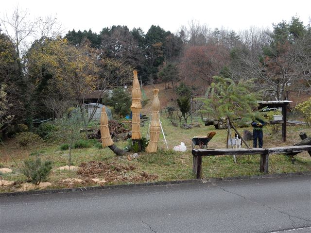 画像の説明