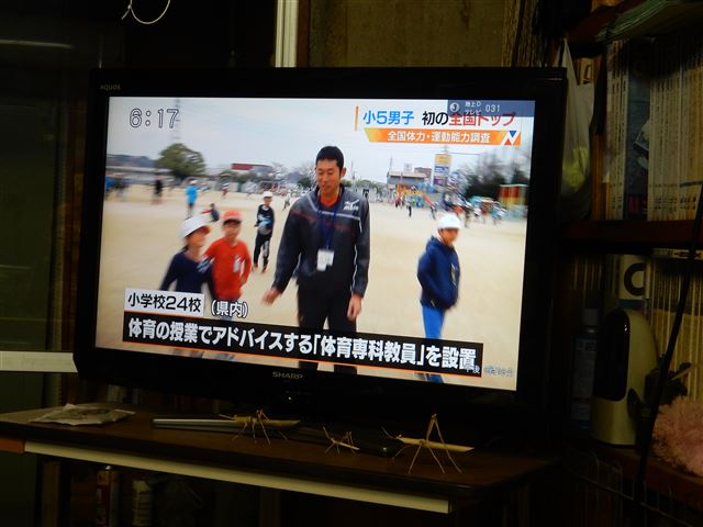 画像の説明