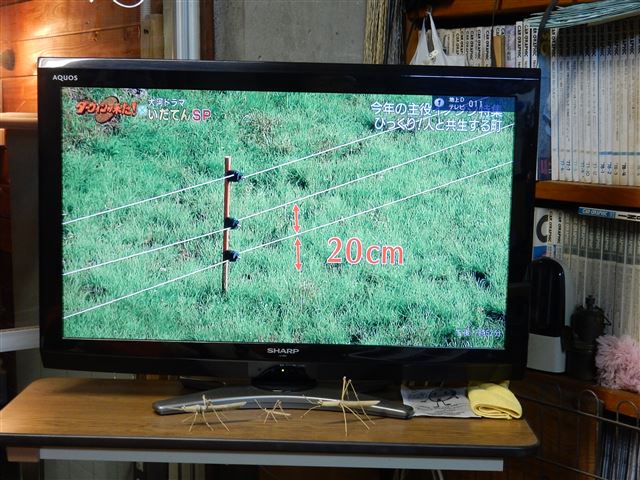 画像の説明