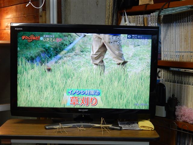 画像の説明
