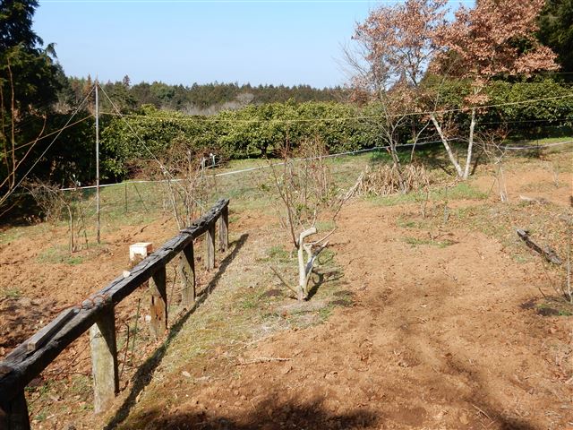 画像の説明