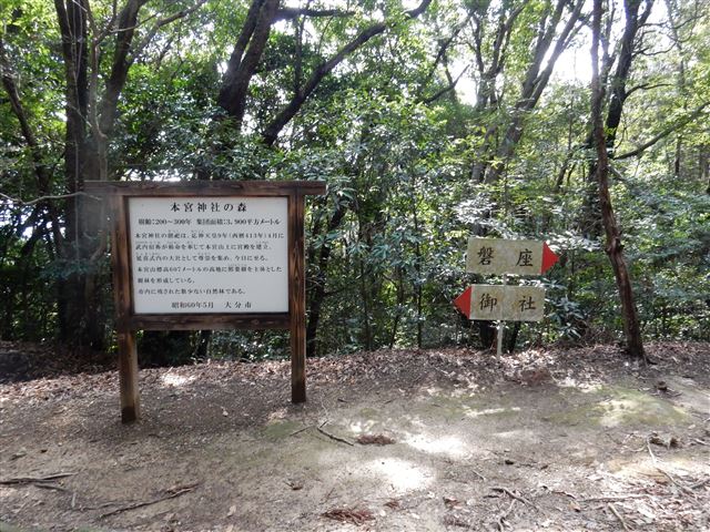 画像の説明