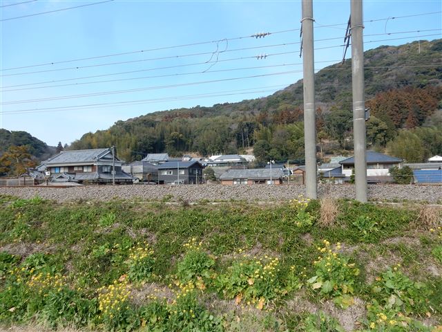 画像の説明