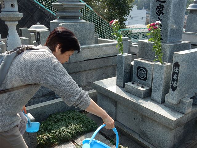 画像の説明