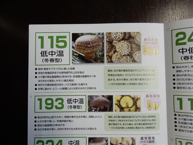 画像の説明