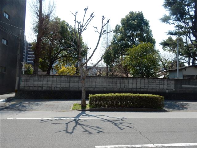 画像の説明