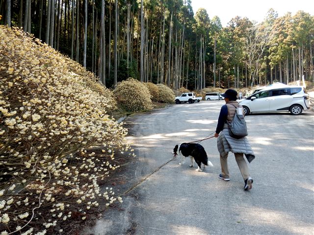 画像の説明