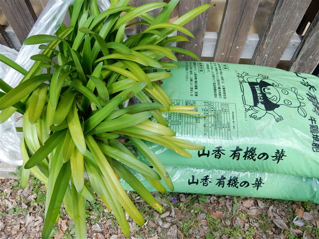画像の説明