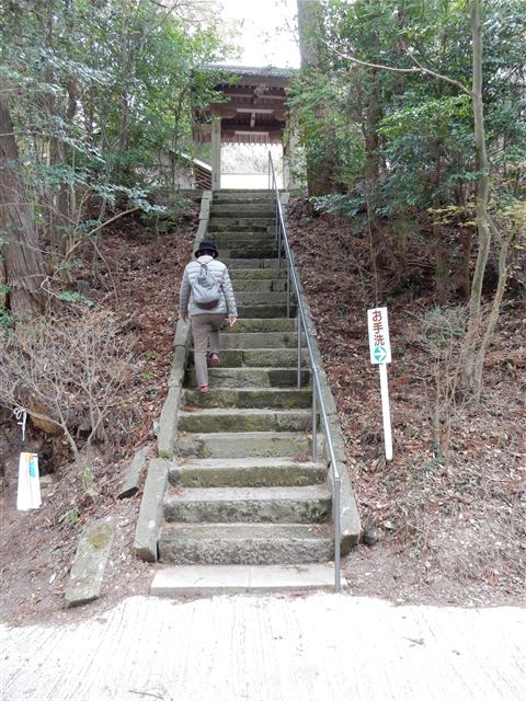 画像の説明