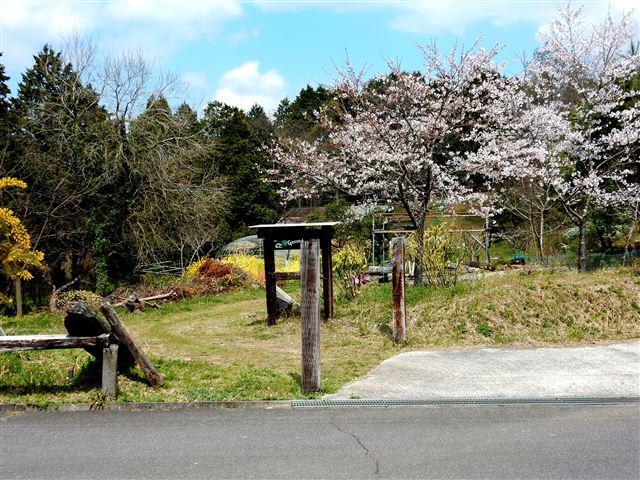 画像の説明